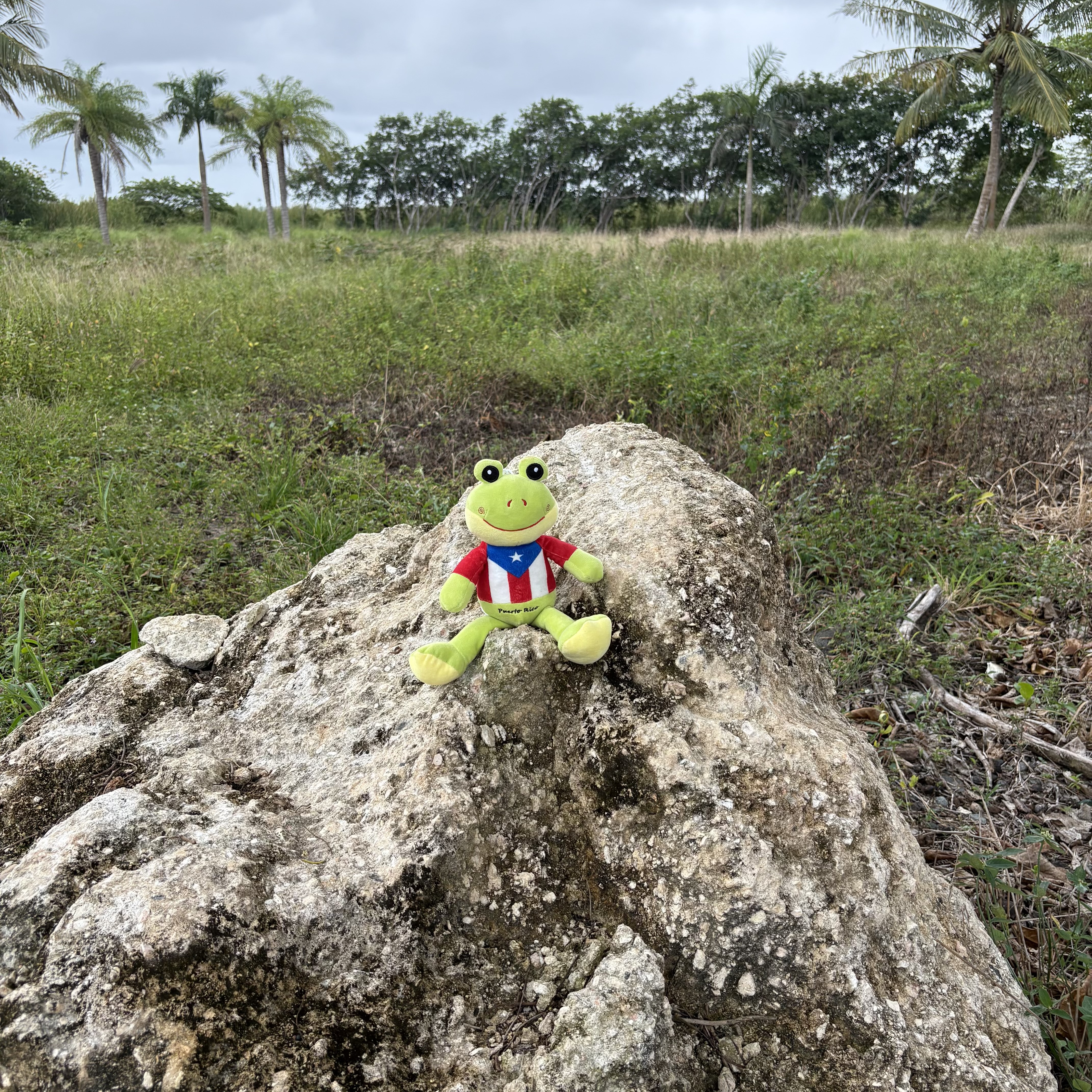 Ancient Taino stone formations Puerto Rico countryside